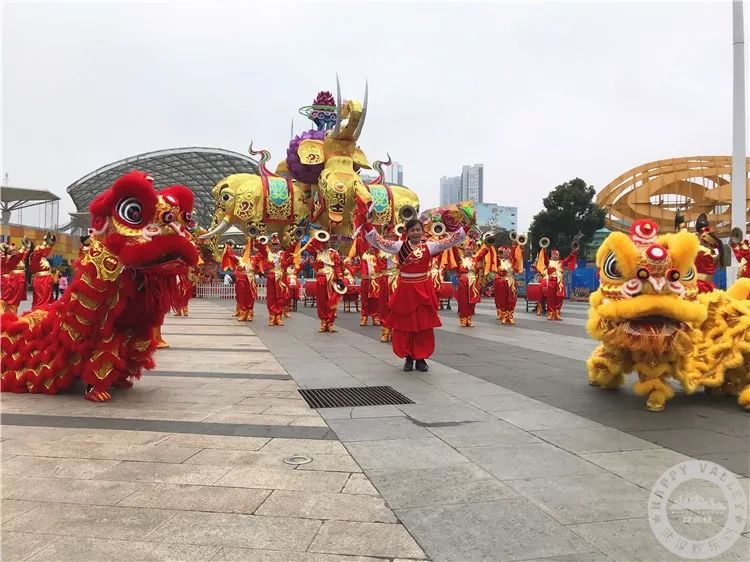 舞龙舞狮威风锣鼓嗨翻天火龙钢花红红旺旺过大年