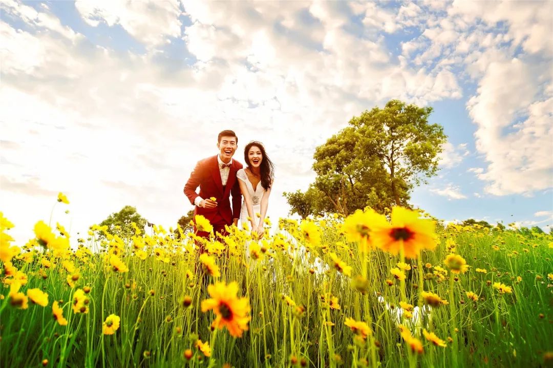 花海婚纱照图片_林心如婚纱照花海