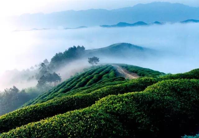 下一站茶山刘简谱_下一站茶山刘图片(2)