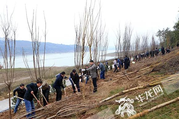 广阳岛人口_广阳岛(2)