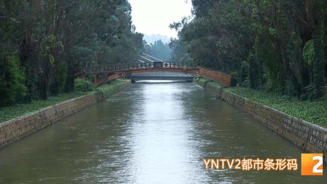 昆明有这样一群老画家,把盘龙江畔几十年美景