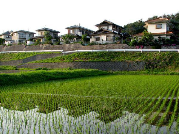 日本农村人口_日本农村