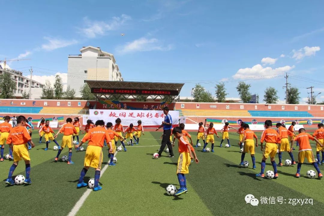 《2017年中国青少年足球报告》正式发布!(全文