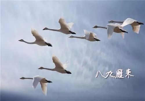 日本飞鸟时代的人口是多少_日本飞鸟时代图片(3)