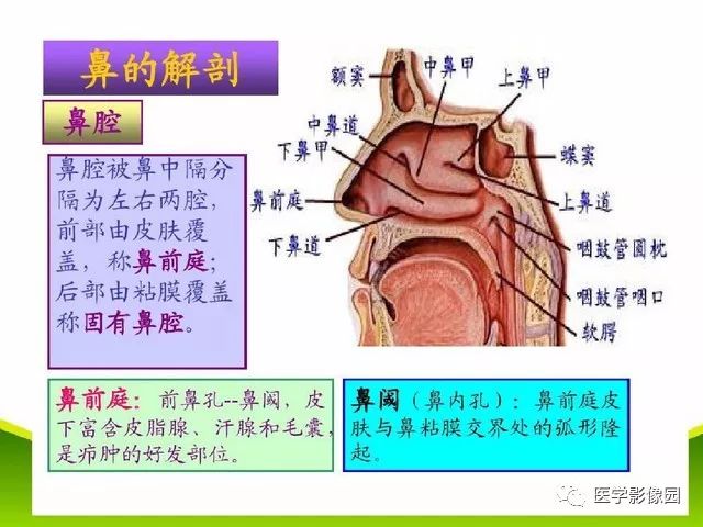 十余种鼻和鼻窦病变ct诊断要点丨影像天地