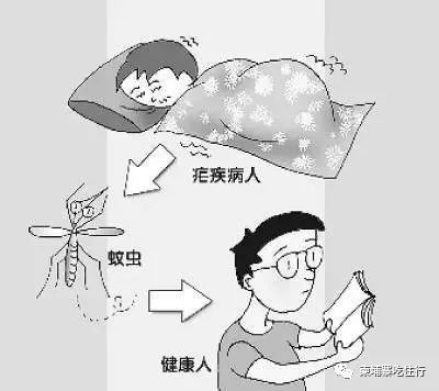 患疟疾人数上涨引民众担忧