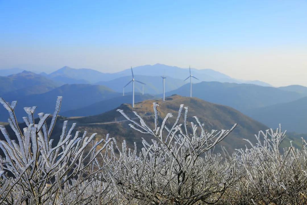 白山多少人口_林繁体多少白山(2)