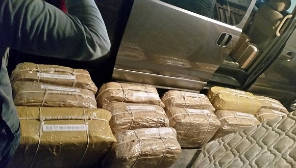 俄驻阿根廷大使馆搜出近400公斤可卡因 价值5000万欧元