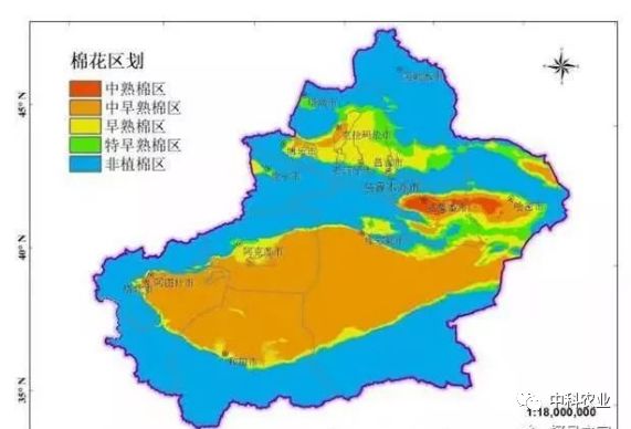 棉花行情新疆划分宜棉区次宜棉区的标准是啥