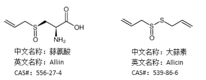 新鲜大蒜中存在的是蒜氨酸,蒜氨酸经过切片或破碎后蒜酶活化,催化蒜氨