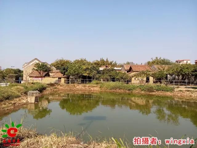 瑞岭村委会距离有两条过境公路,地缘优势较弱.