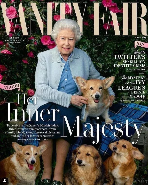 如果要问今天世界上哪种狗最有地位,那肯定是英国女王伊丽莎白二世的
