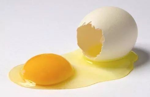 小小的鸡蛋虽然看上去脆弱,但结构复杂,光是蛋壳就包含了五层不同的