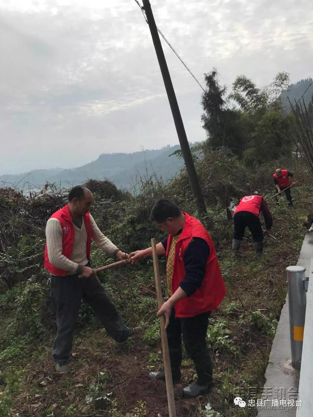 拨山镇人口_剑阁县元山镇常住人口