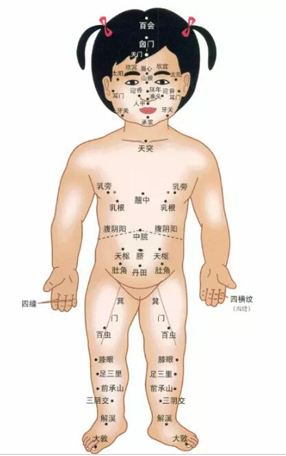 乌鲁木齐佑尔康小儿推拿穴位名词及位置解析(配图)