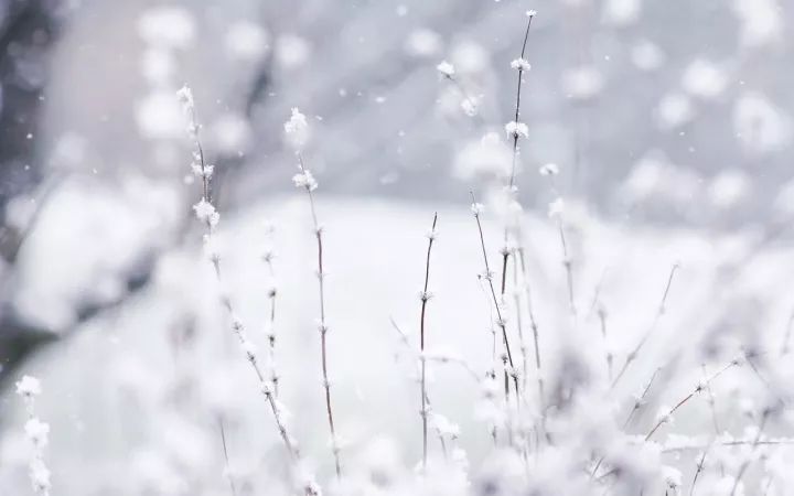 描写春节下雪的诗