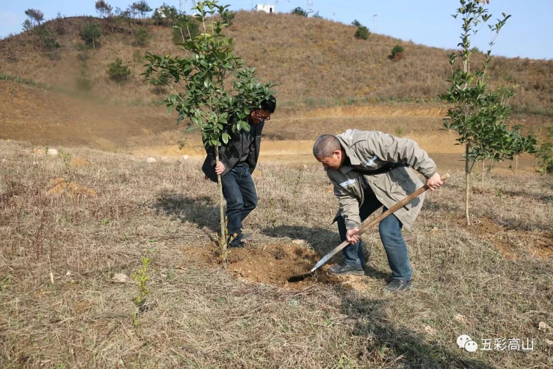 高山镇人口_四川荣县加速推进 2.24 2.25 地震灾后房屋重建