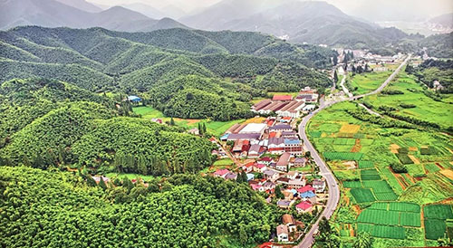 农村人口地_农村地锅灶台图片