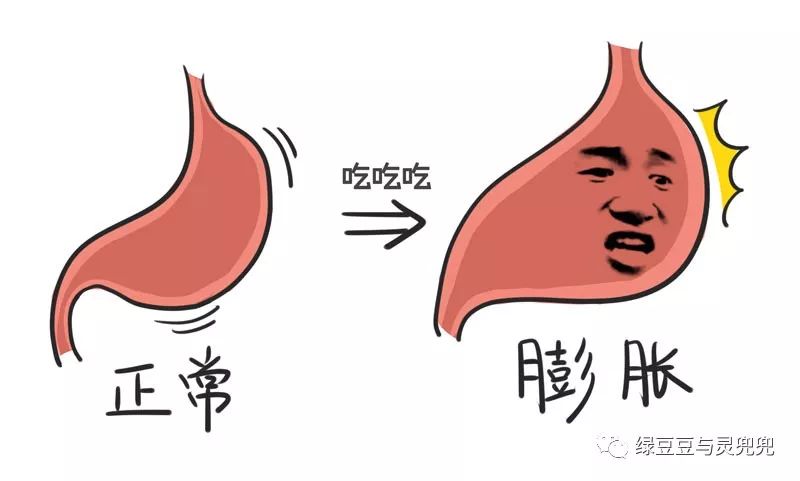 吃太多成"大胃王"到底会怎样?