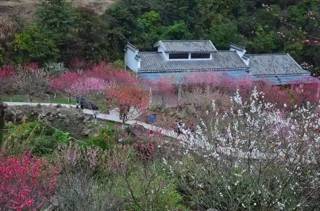 "三生三世 桃花源里"首届永春"发现永春"摄影节暨第八届北溪桃花文化