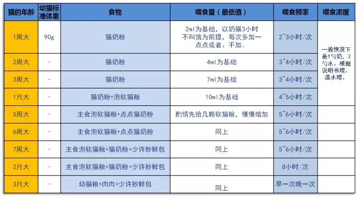 刚接回家的猫要怎么办