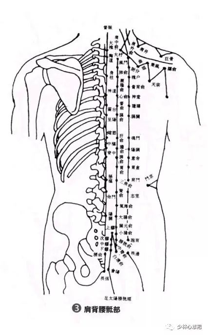 人体穴位图