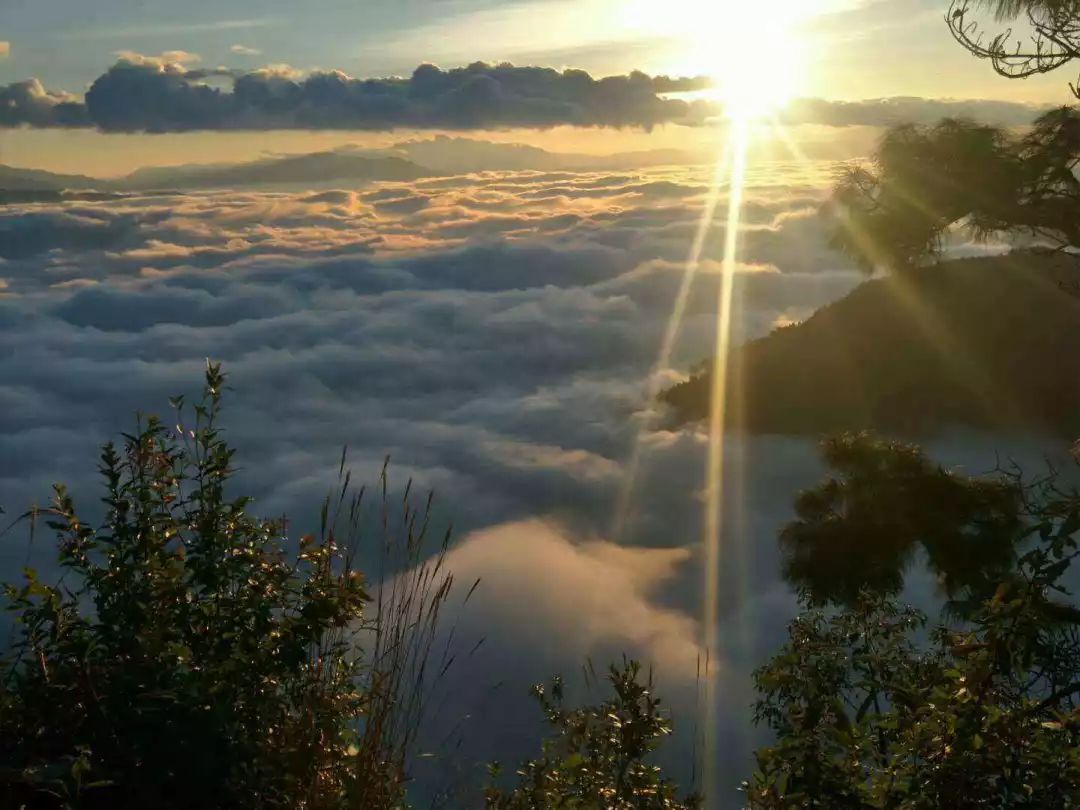 哀牢山风景区