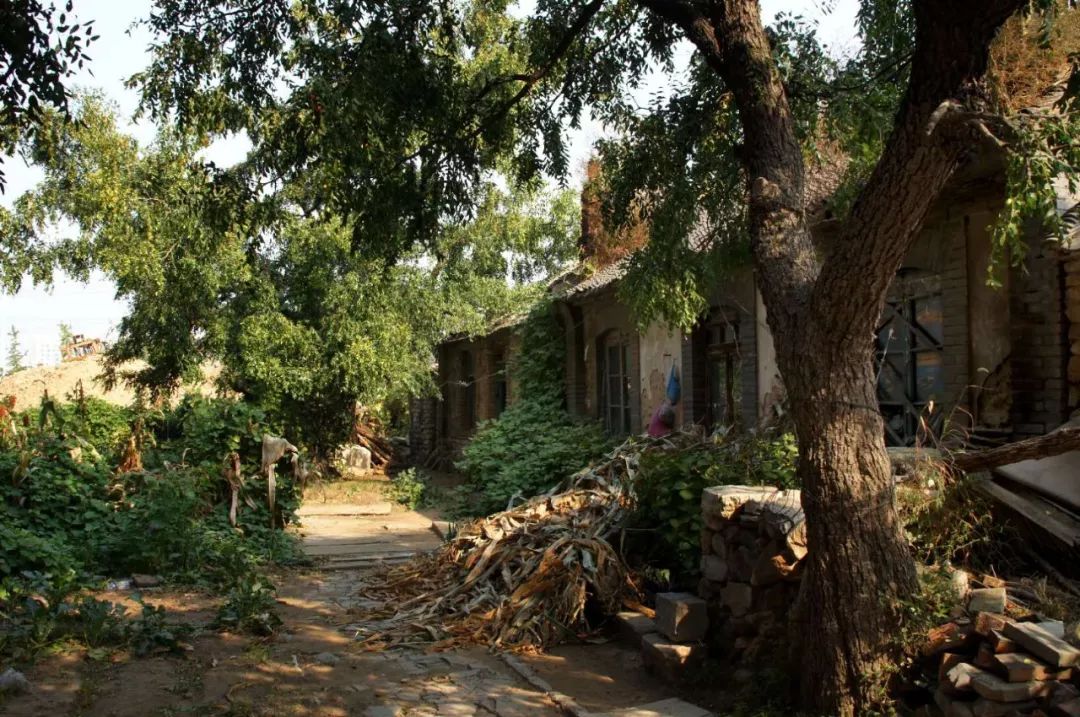 道光年间的老屋和屋内百岁高龄的枣树.受访者供图