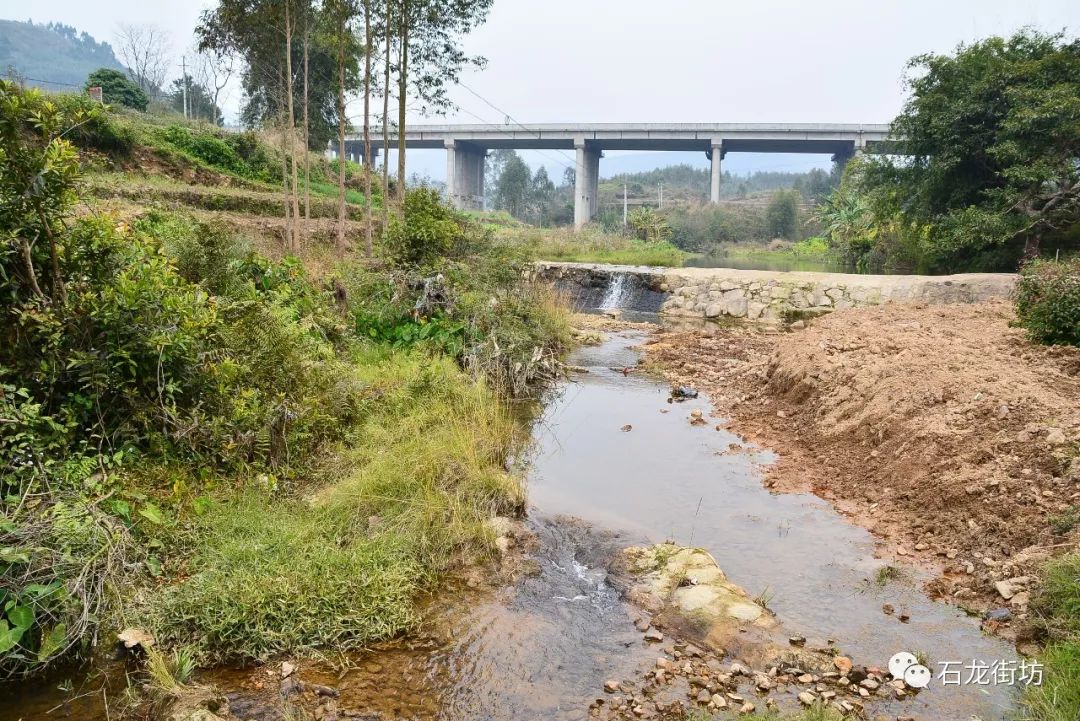 珠海市石龙村人口_孟关乡石龙村(2)