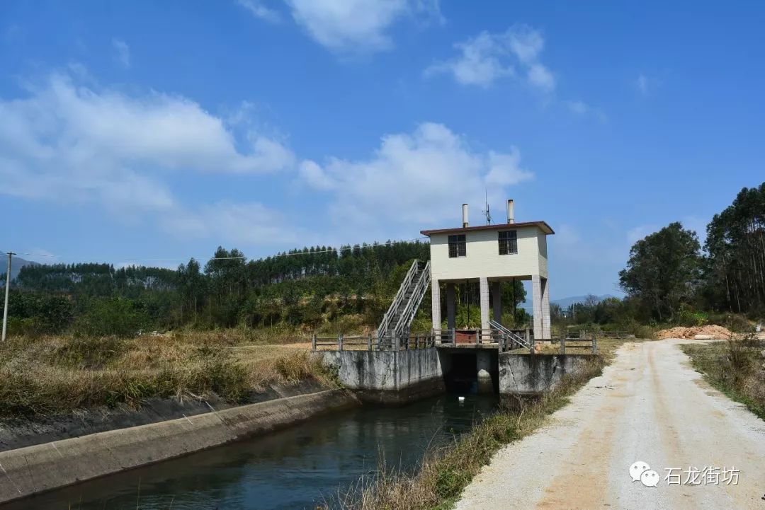 珠海市石龙村人口_孟关乡石龙村(2)