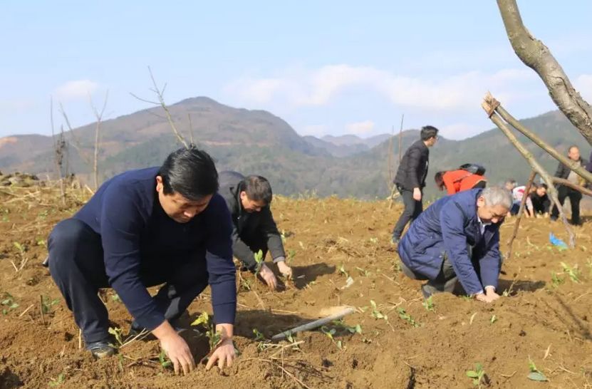 潮砥镇人口