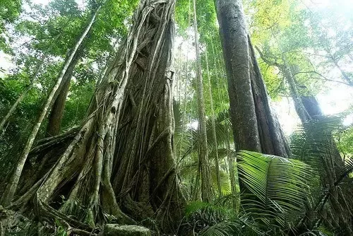 海南昌江的纯美景点,你知道几个