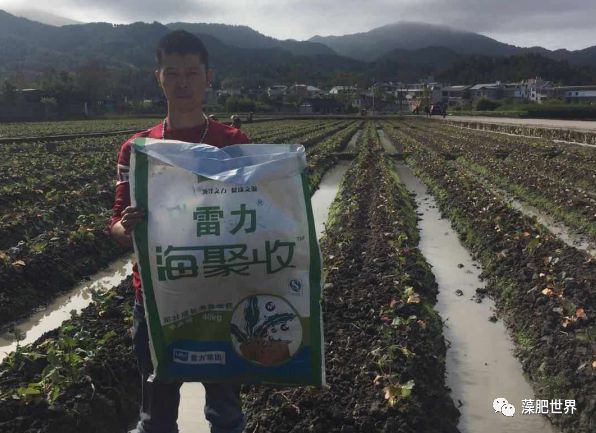 雷力海聚收的使用方法和效果