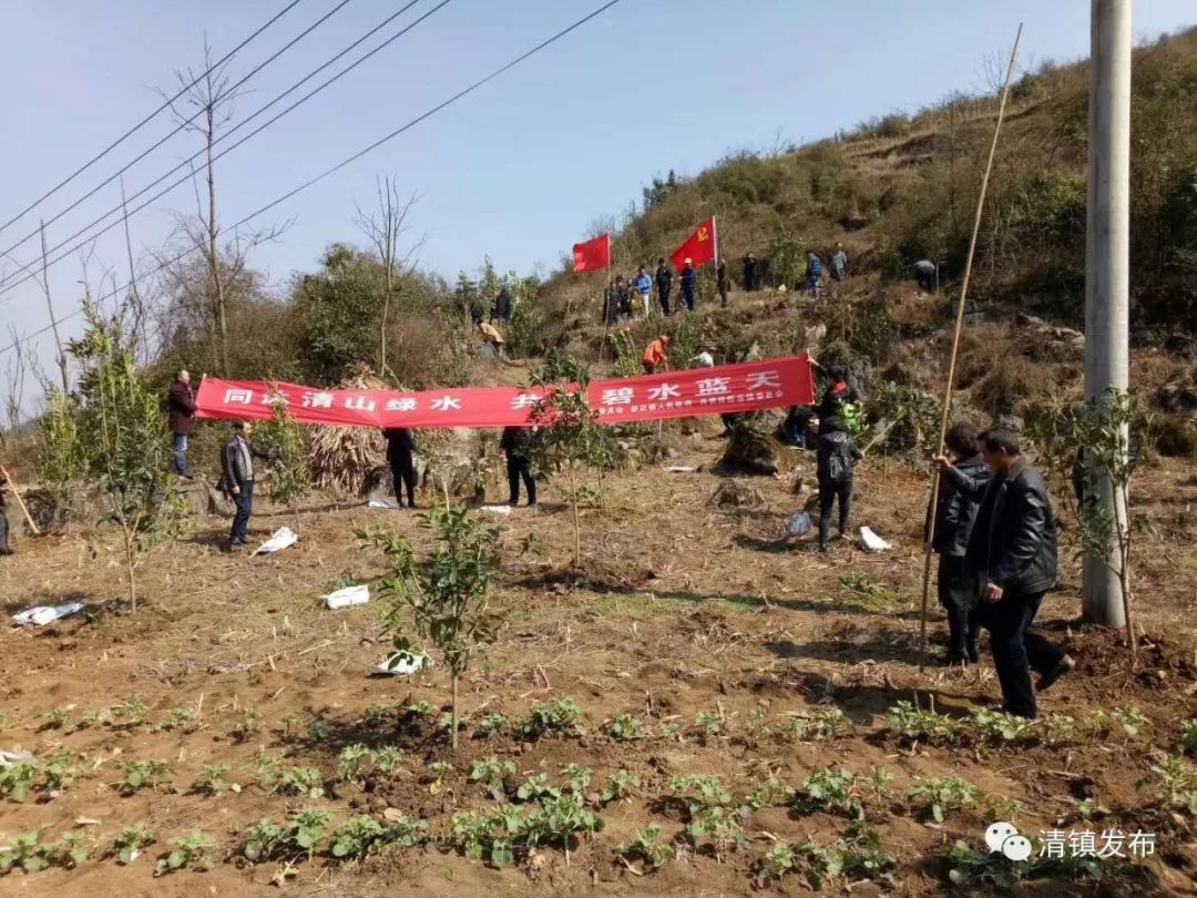 清镇新店镇人口_清镇一中新校区图片