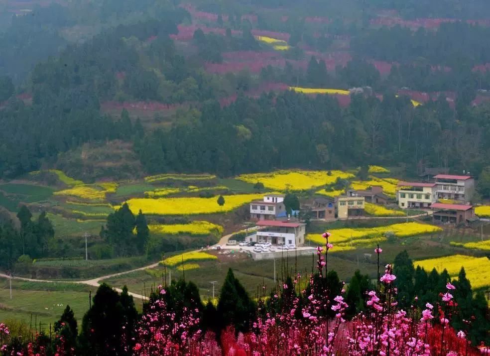 中江冯店镇人口_中江芍药谷图片