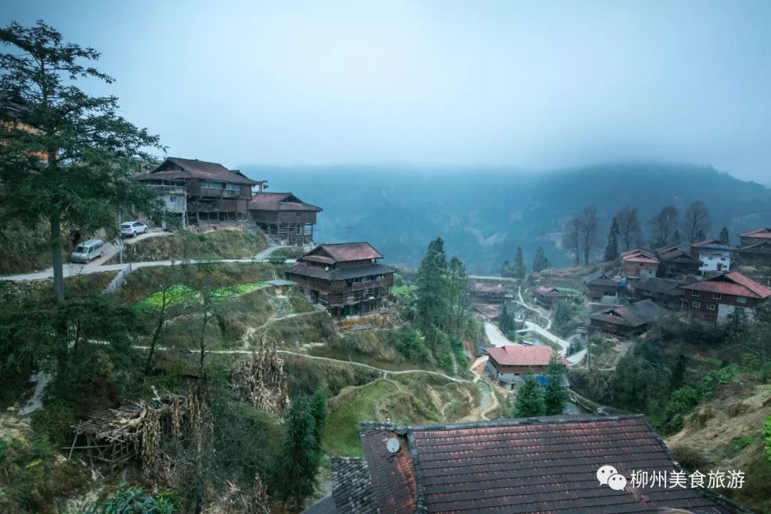 大苗山,美景,美食,美女多!这几天的系列坡会,必须去!