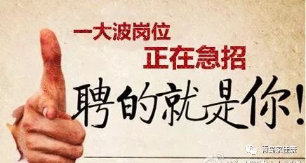 胶南招聘_黄岛求职单证员,文员,后勤,报关员 胶南招聘 青岛西海岸人才库 黄岛招聘网(2)