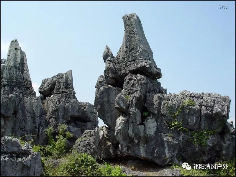 祁阳赏花攻略~快来解锁诗情画意的暖春吧!