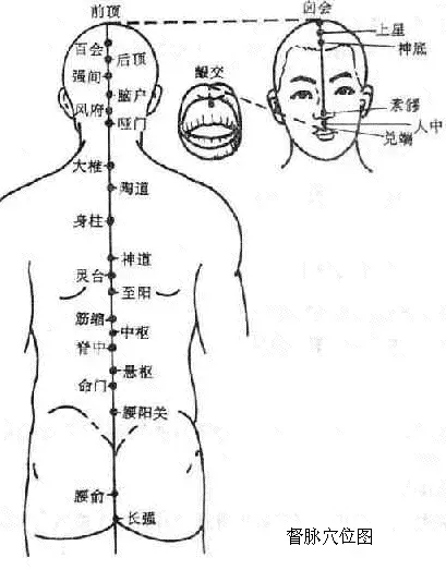 中医搭脉怎么做的_中医摸脉图(2)