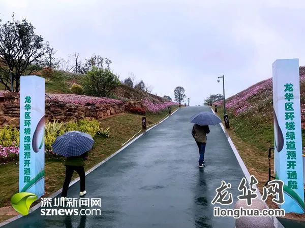 日前,发布君来到位于福城街道龙观快速的环城绿道大水坑段,这里也是