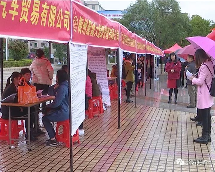 蕉岭招聘_南沙区人民政府(2)