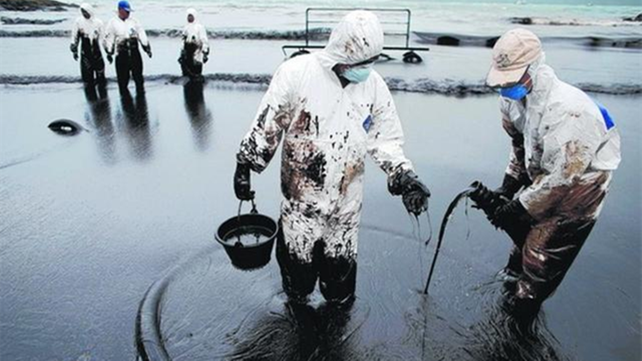 美国人发明"吸油海绵",能吸万吨石油,彻底解决海洋污染