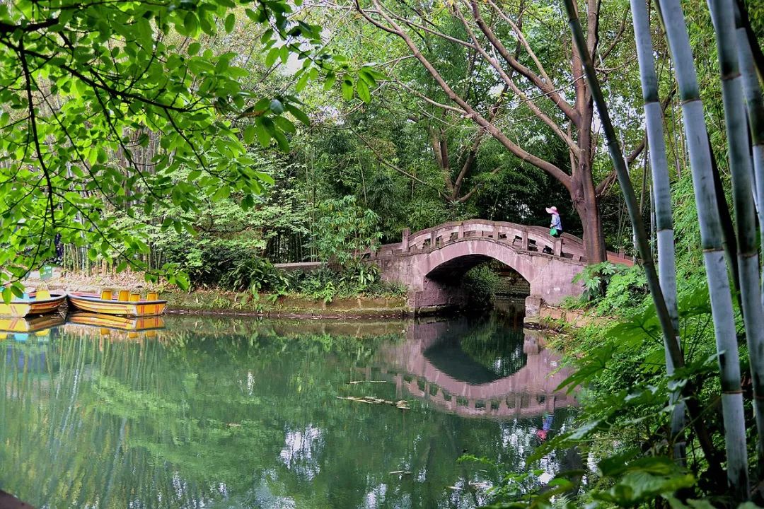 为缘春笋钻墙破猜一成语_雨后春笋图片