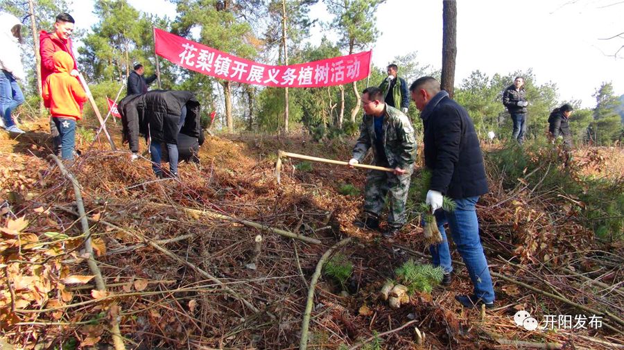 开阳县开展全民义务植树活动