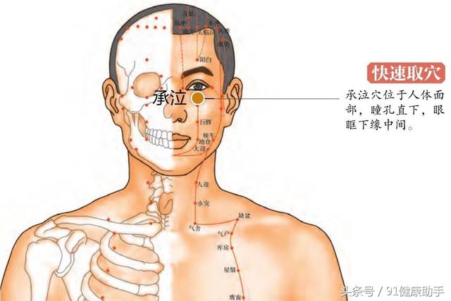 穴位养生散风清热明目止泪按承泣穴治疗眼疾非常重要的穴位