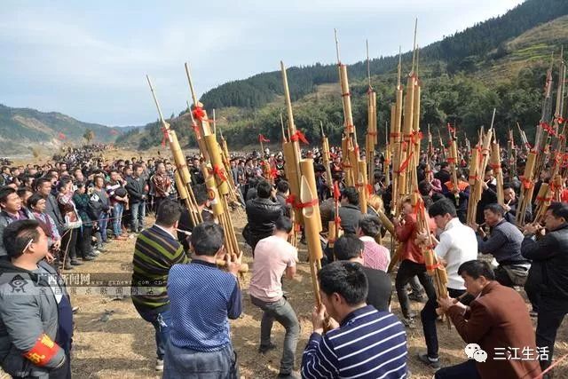 广西三江芦笙坡会热闹非凡 苗家少女银装素裹亮眼(图)