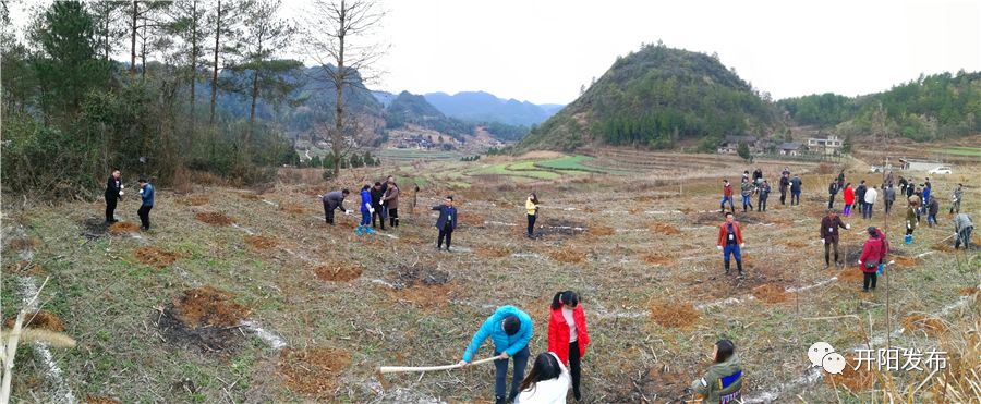 米坪乡龙水乡禾丰乡南江乡高寨乡县法院县农业局县工信局县文广局来源