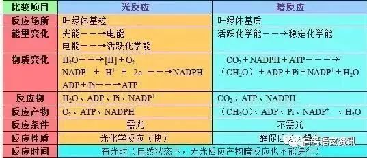 影响人口增长快慢的因素_决定人口增长快慢的因素是(3)