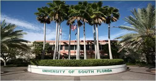 南佛罗里达大学(university of south florida-tampa)