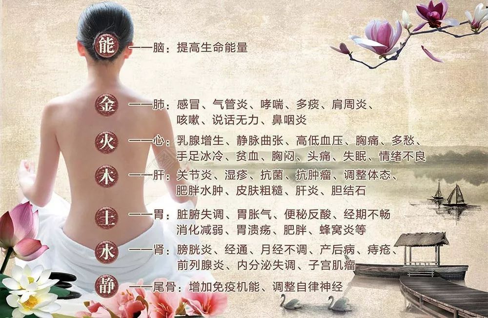 后背为五脏六腑的反射区,从颈下二寸开始,以手掌大小为一个反射区